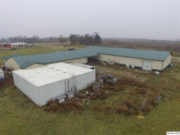Big River Fish Corporation: 30402 State Highway 107, Griggsville, IL 62340